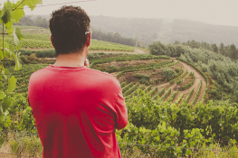 Añada 2020, la vid no entiende de COVID-19